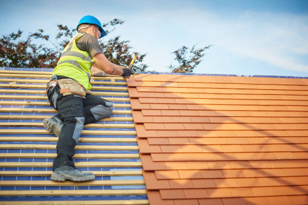 Best Green or Eco-Friendly Roofing Solutions  in Hermantown, MN